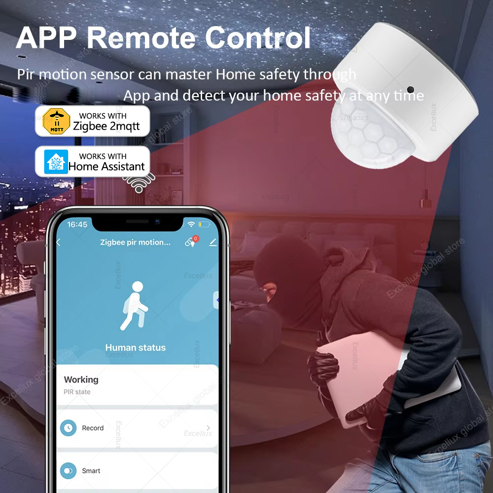 زيجبي PIR محس حركة صغير الأشعة - مراجعة Home Security Home Assistant وسعره