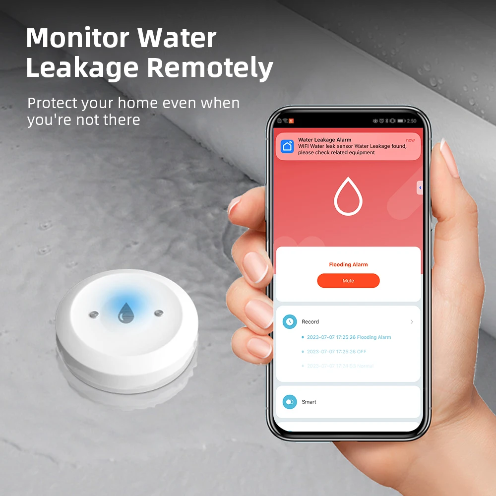 مستشعر تسرب المياه الذكي Zigbe - مراجعة Home Security Home Assistant وسعره